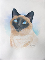 Watercolor painting of my sister-in-law's cat Sassi.